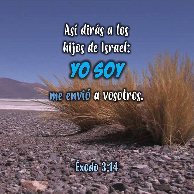 34268810_1964972246869109_4069856785727488000_n