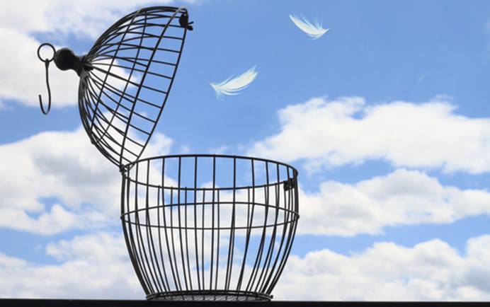 41661070_286792408585972_730608369802412032_n