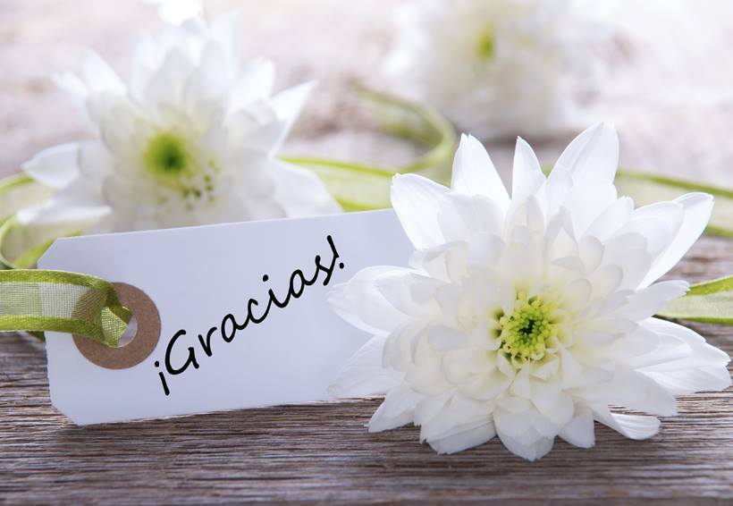 43880239_296458597619353_306640646091833344_n