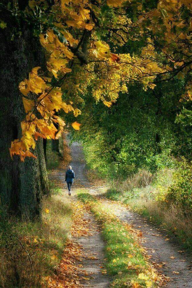 45114745_2182187368480928_5434369643718377472_n