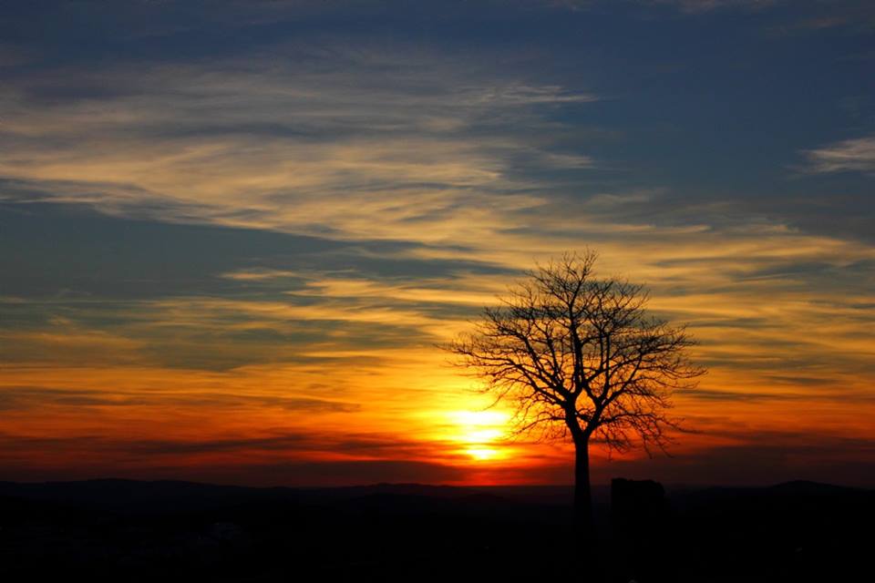 37682745_252264372038776_8991921055341740032_n