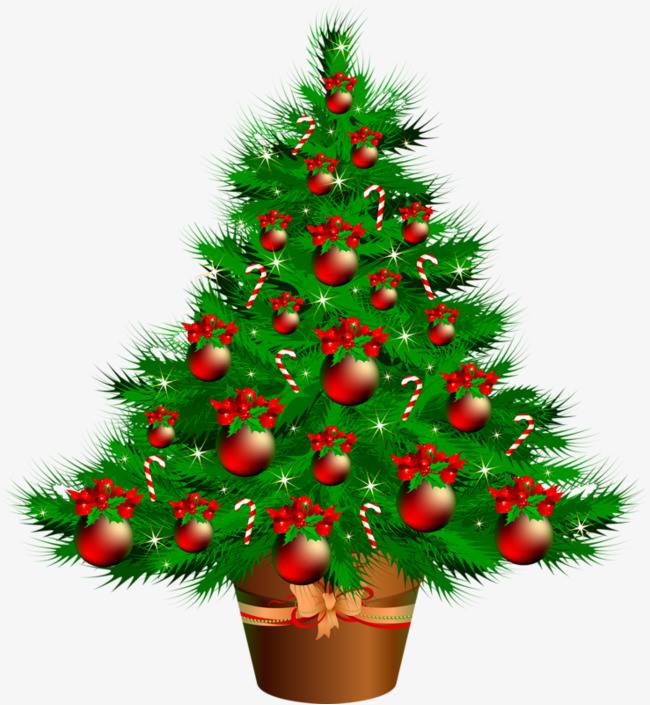 45558797_2190198967679768_5470344139465818112_n