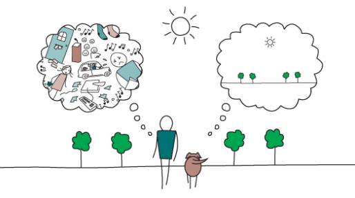 45627585_2194179953948336_7666091778079981568_n