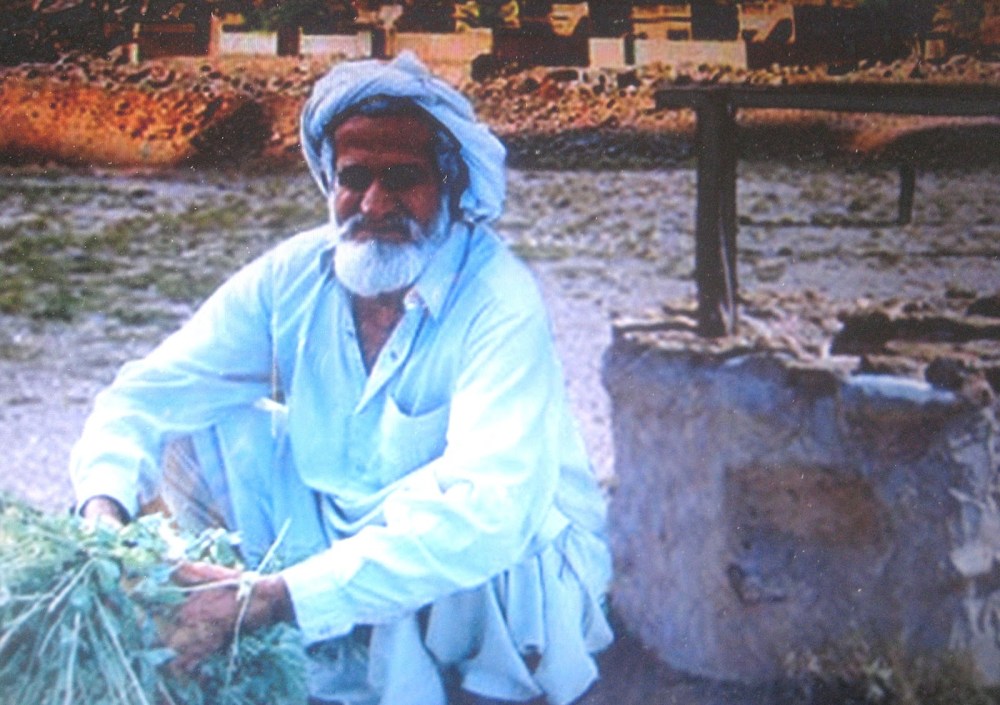 flores blancas 001.JPG