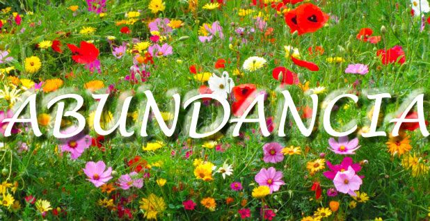 abundancia