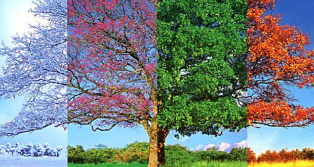 las-4-estaciones-destacada-620x330