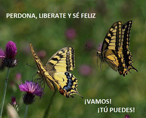 199207_119672918219667_1105576598_n