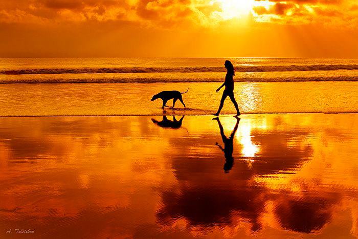 208836_497107770306081_302784237_n