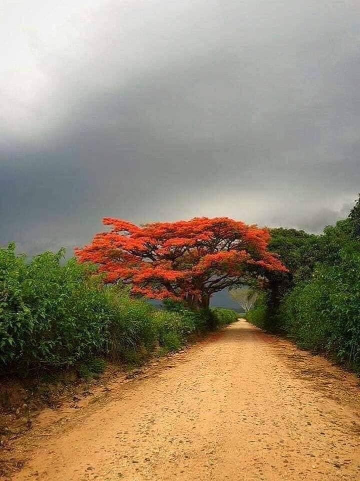 52605981_2351617698204560_3014681216289865728_n