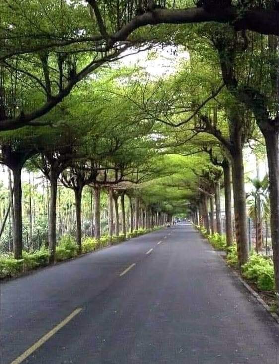 52611720_2199250793625542_721657133971537920_n