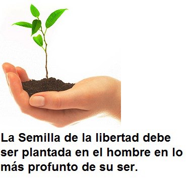 537748_114218068765152_2106493485_n