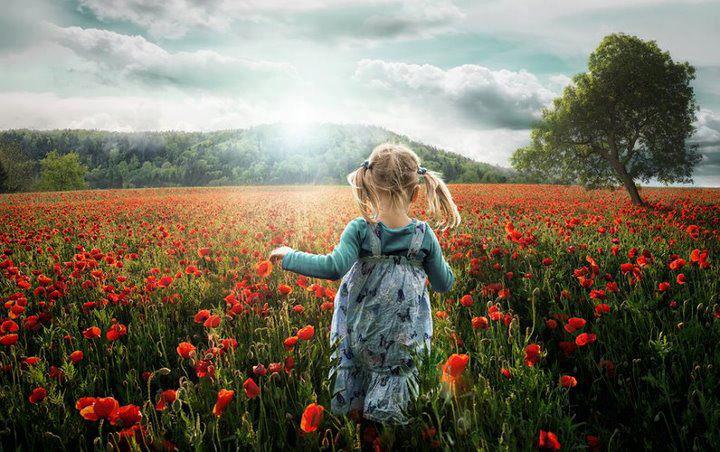 540190_510991692251022_346813105_n