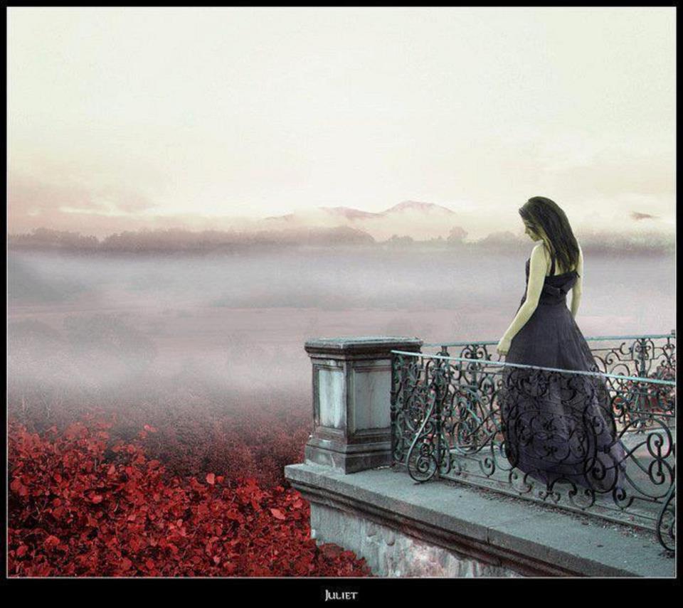 540201_442117879138404_1591649011_n