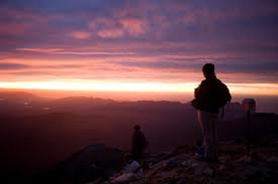 540313_446764132007112_1577223489_n