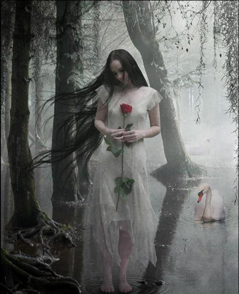 546498_448815308468661_1406101755_n