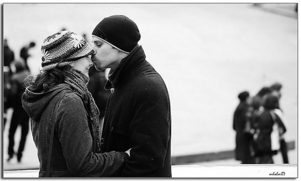 560388_444071615609697_348779875_n