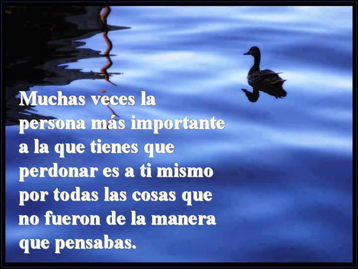 735206_119190148267944_1963908722_n