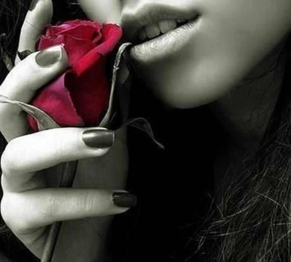 75271_448824185134440_1637620754_n