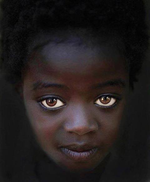 1465123_425080897591590_417310782_n