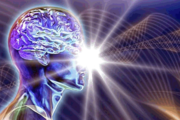 14erroresleyatraccion