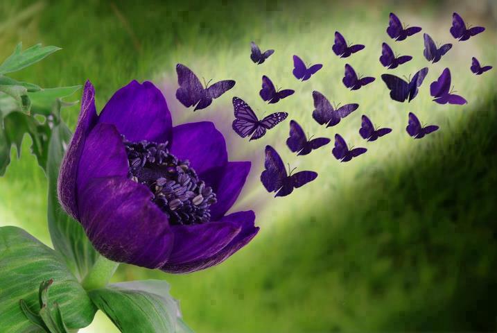 400759_600449920005846_257970140_n