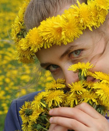 425880_290681101031571_1430960481_n