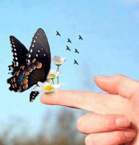 946517_610949515622553_816789318_n