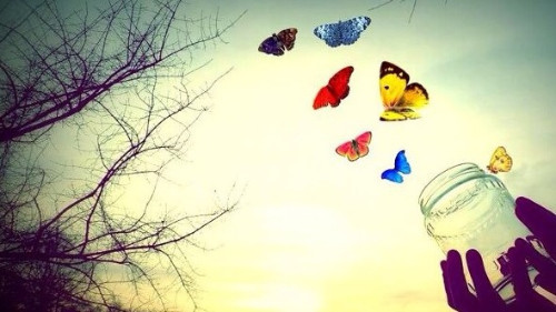 mariposas-fuera-de-frasco