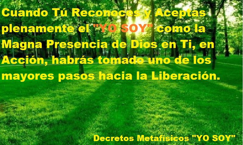 19275090_1606756369357367_2503150766732745994_n