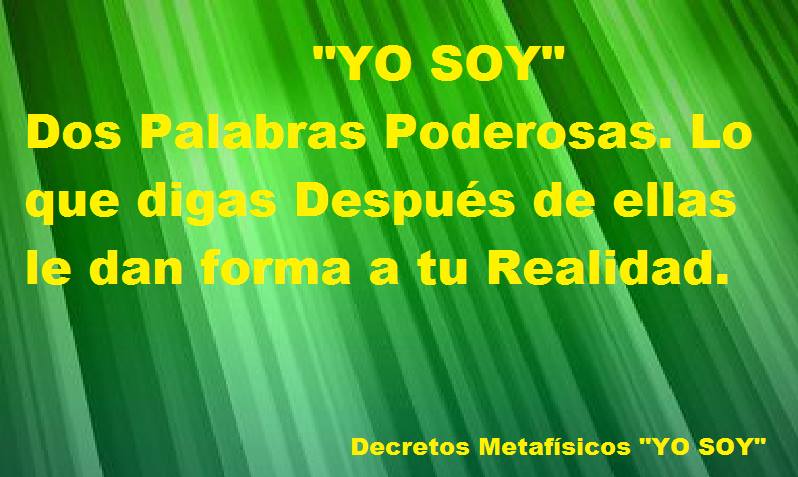 19396688_1606835419349462_5654160809546546676_n