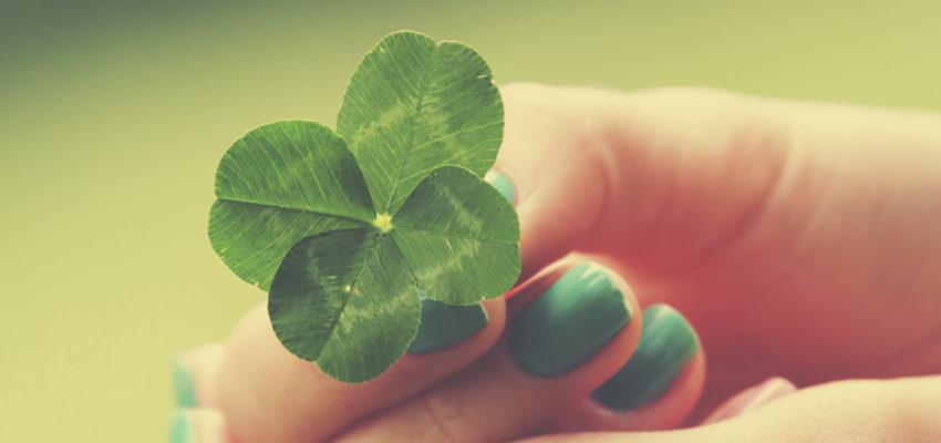 37988002_1901967106516430_5899215345733861376_n