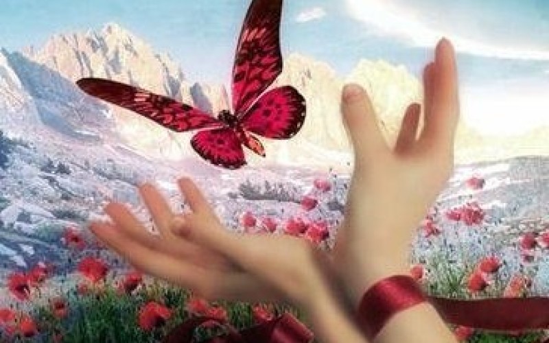 creador-de-tu-vida-800x500_c