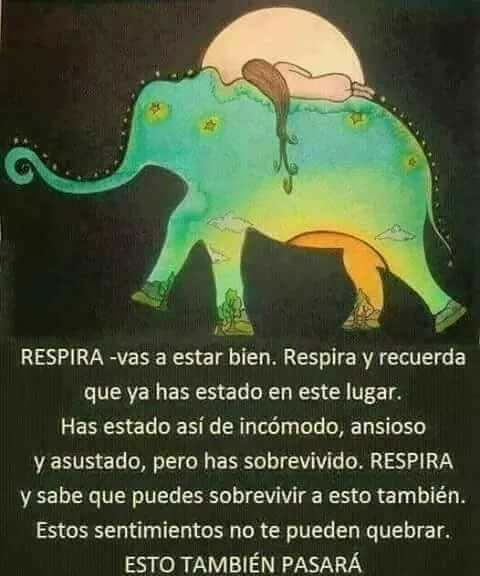 22007476_1786981878008520_7661709875699669190_n (1)