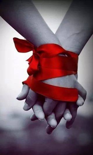 22046911_1564067073650271_5752145492028085573_n