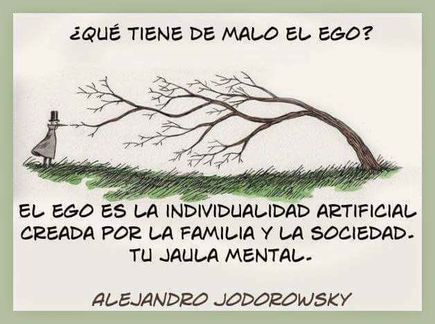 22789014_1830905290282845_191808538313970473_n