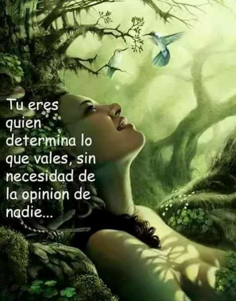 26167311_1912410522132321_7083102244162417243_n