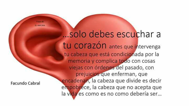 26904581_1942820902424616_3759805762387234033_n