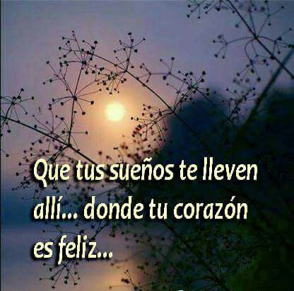 28796152_2009792232394149_845186290394595328_n (1)