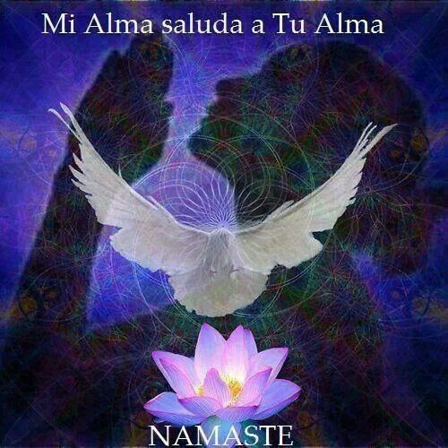 2979c86b0d69607eff15fdd40c79ad21