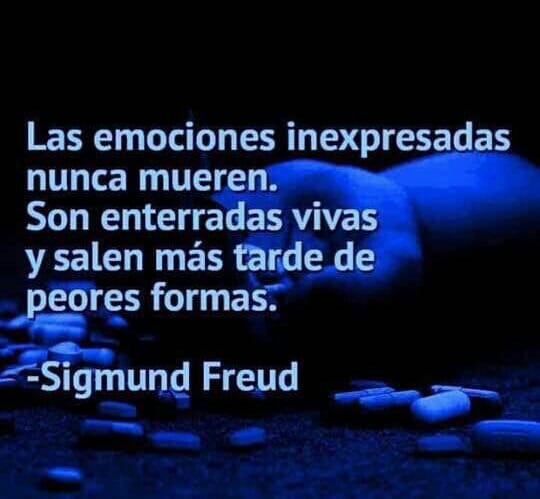 45509234_2435401753166526_7380608102233538560_n