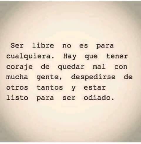 53532482_2687388227967876_6929834959347646464_n