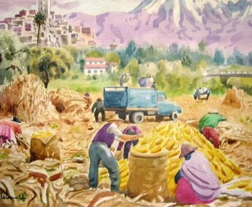 56adecef-bd00-48b1-8887-6ed182139fc0_x365