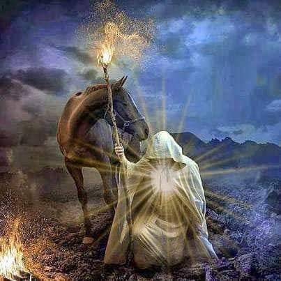 59657957_2808876745819023_2320484956452683776_n