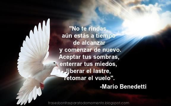 7ae844d59cf5fb3dc6ec90134b97e9d0