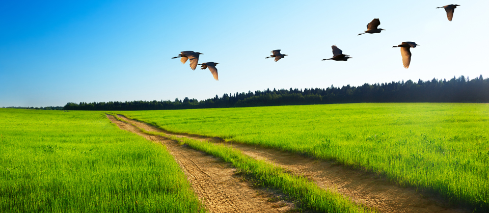 blog-caminos-con-corazon