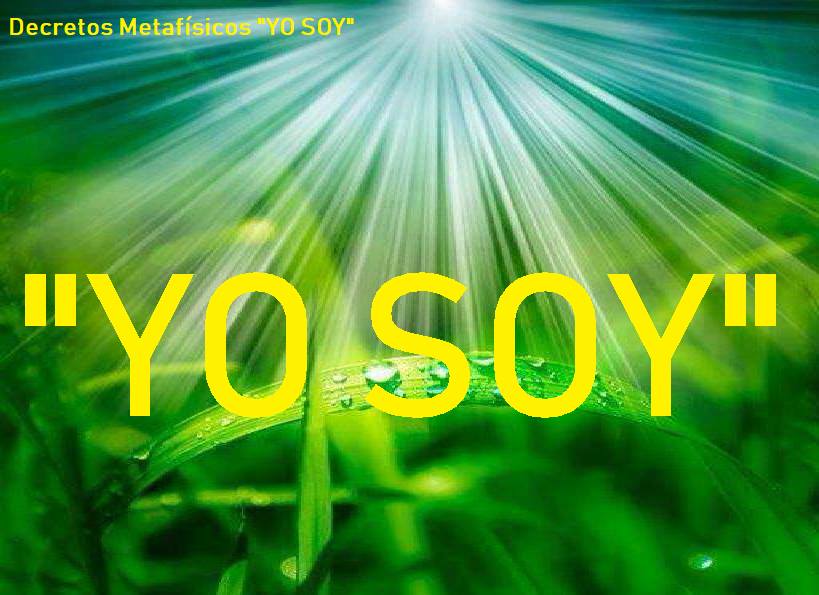 38121335_2054086294624370_6972606146351726592_n