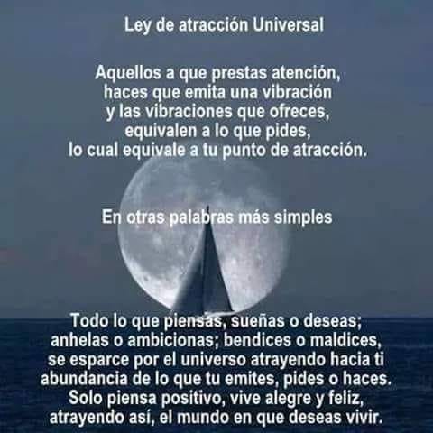 59497010_10218817264925777_3242046751896502272_n