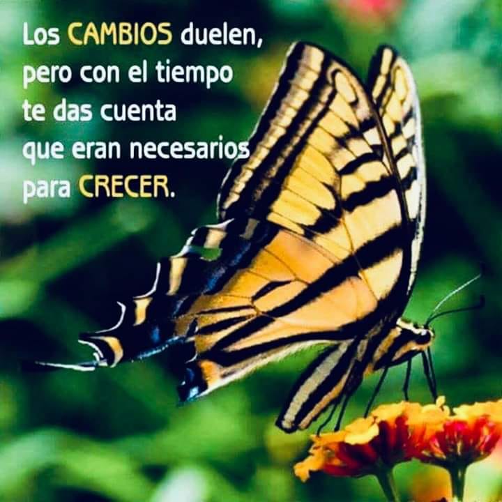 59553523_10218796726612332_9127852982098984960_n