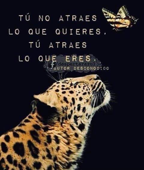 59565818_10218845051460423_596969676408356864_n