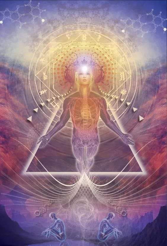 60137369_10218858410034379_6752309057467449344_n